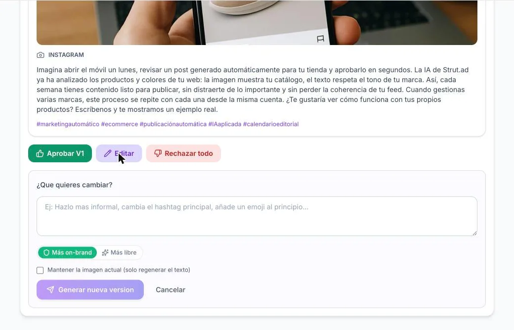 Panel Editar de Strut.ad con el cuadro para pedir cambios y las opciones de mantener la imagen